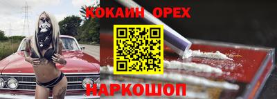 ешки Кингисепп