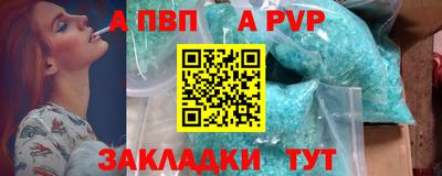 ешки Кингисепп