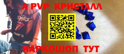 ешки Кингисепп